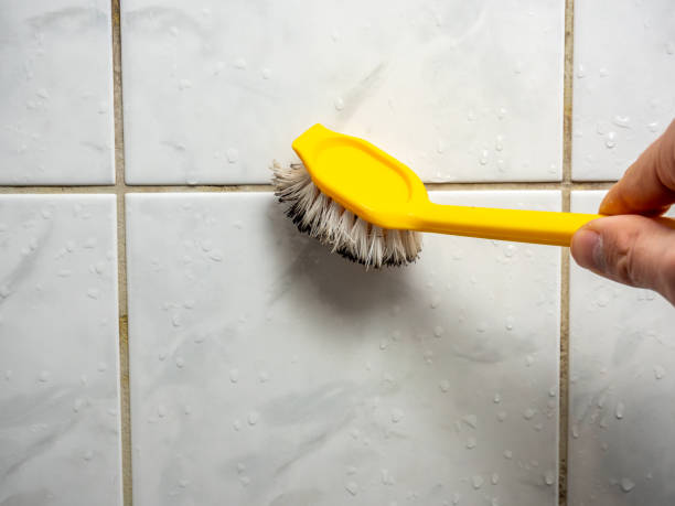 Best Mold Cleaning Services  in Bardstown, KY