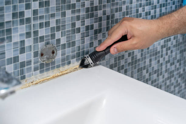 Best Mold Testing and Removal  in Bardstown, KY