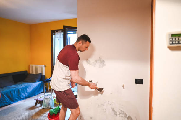 Best Best Mold Removal Companies  in Bardstown, KY